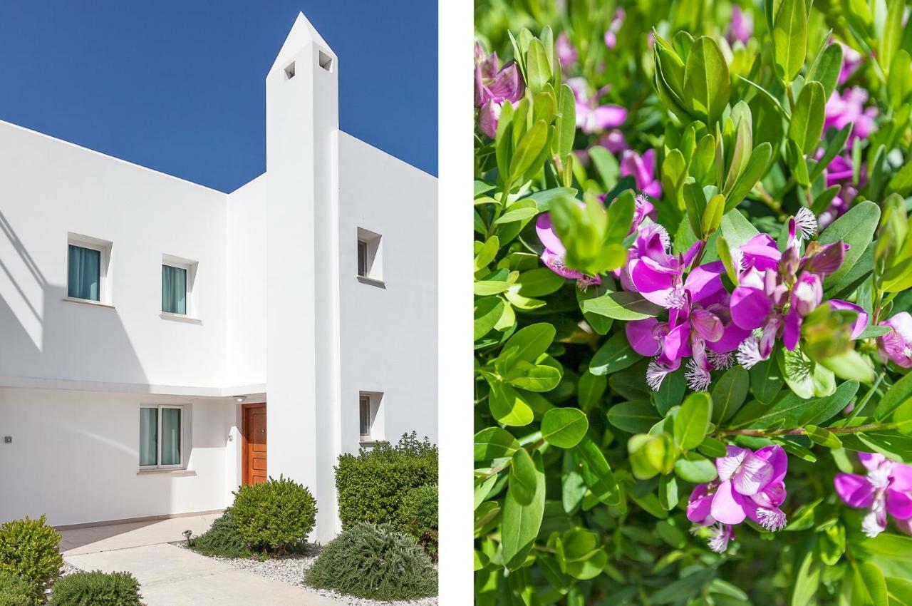 Seaview Selvi Village Apt Vasilia Exterior photo